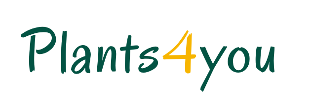 Plants4You